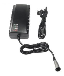 Impulse systeem battery charger oplader https://www.wijverkopentweedehandsfietsen.nl/