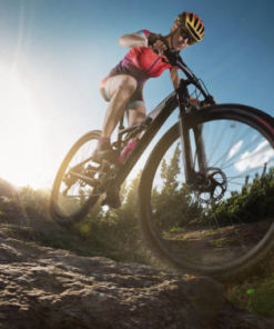 Mountainbikes (MTB)