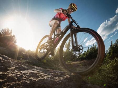 Mountainbikes (MTB)