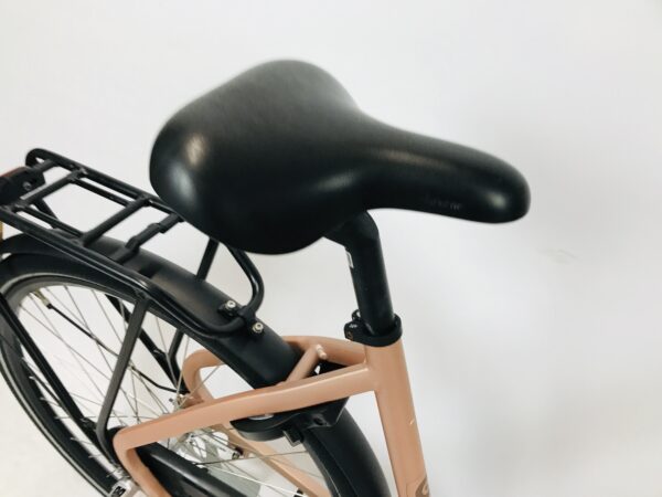 CORTINA Common Mat damesfiets XS-50cm - Afbeelding 3