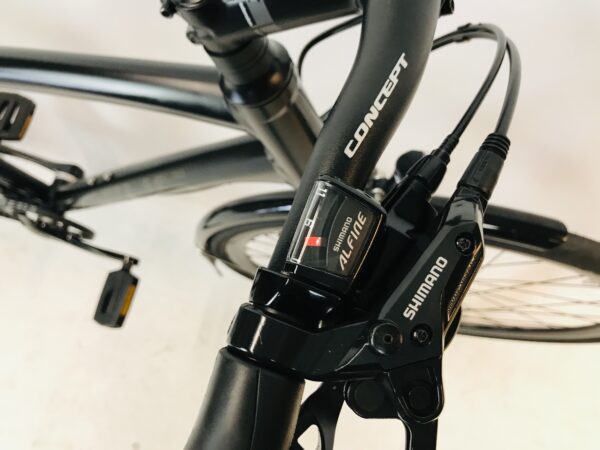 FOCUS Plant ALFINE-11 herefiets L-57cm - Afbeelding 7