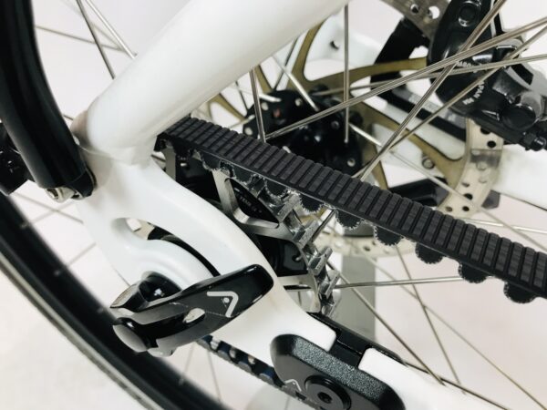 SANTOS TravelLite PINION damesfiets M-53cm SON+Gates riem - Afbeelding 3