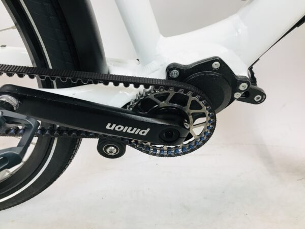 SANTOS TravelLite PINION damesfiets M-53cm SON+Gates riem - Afbeelding 4