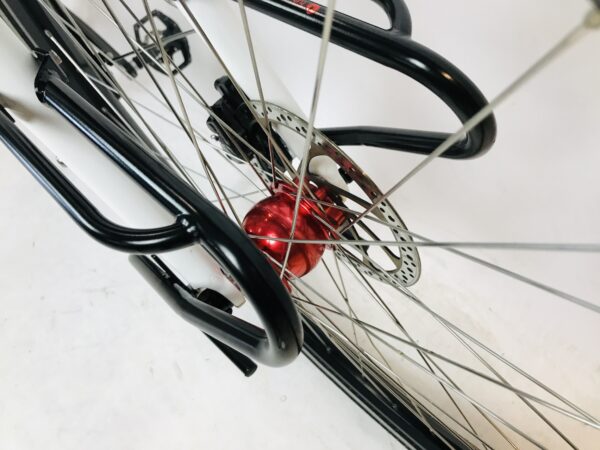 SANTOS TravelLite PINION damesfiets M-53cm SON+Gates riem - Afbeelding 10