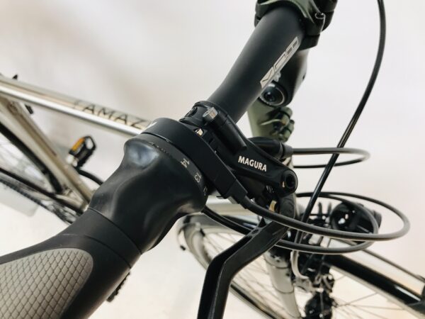 VAN NICHOLAS Amazon herenfiets M-53cm Rohloff+Son+Titanium - Afbeelding 9