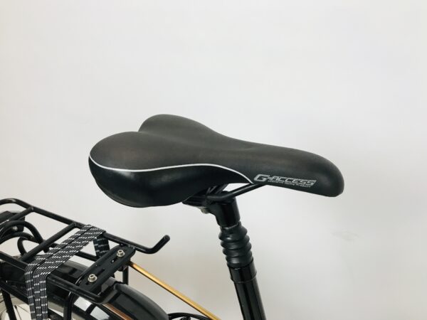 SANTOS TravelMaster herenfiets M-53cm ROHLOFF - Afbeelding 5