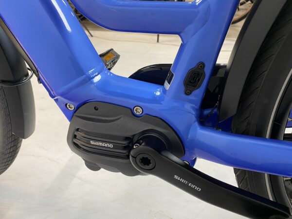 GAZELLE Chamonix C7 HMS ebike damesfiets M-53cm 504WH - 2207 km - Afbeelding 6