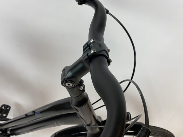 GIANT LIV Riemaandrijving damesfiets XS-46cm MatZwart - Afbeelding 6