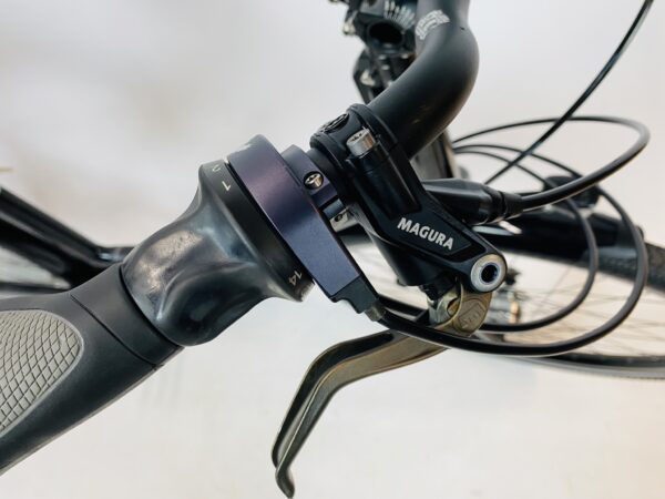 IDWORX EasrRohler damesfiets XXS-46cm Rohloff+naafdynamo - Afbeelding 6