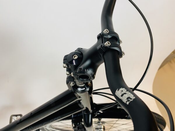 IDWORX EasrRohler damesfiets XXS-46cm Rohloff+naafdynamo - Afbeelding 7