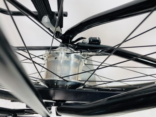 IDWORX EasrRohler damesfiets XXS-46cm Rohloff+naafdynamo - Afbeelding 8