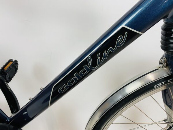 GAZELLE GoldLine Firenze herenfiets XL-61cm ALFINE-11 - Afbeelding 5
